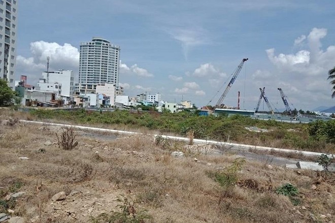 Khu dân cư Cồn Tân Lập đang bị bỏ hoang, cây cối mọc um tùm giữa lòng Thành phố Nha Trang, Khánh Hòa. Ảnh: Nhiệt Băng