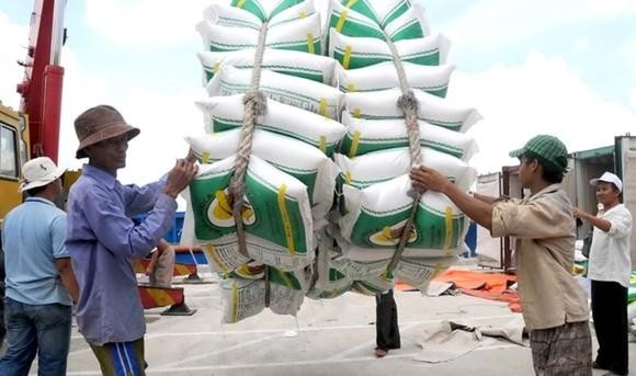 Xuất khẩu gạo tiếp tục gặp khó khăn do cảng Tân Cảng Hiệp Phước tạm ngừng dịch vụ đóng rút gạo