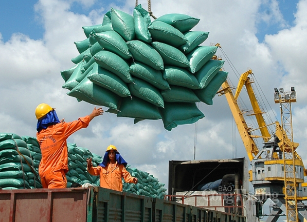 Việt Nam đã xuất khẩu 4 triệu tấn gạo trong 8 tháng, trong đó xuất sang Philippines và Trung Quốc đạt gần 2,3 triệu tấn.