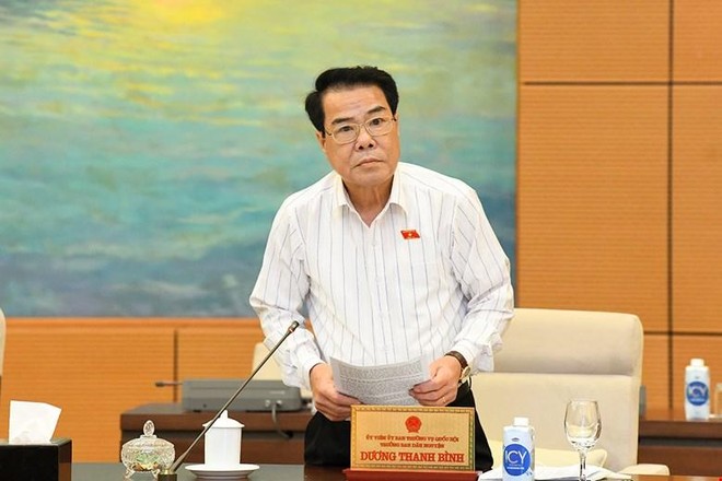 Trưởng Ban Dân nguyện Dương Thanh Bình trình bày báo cáo.