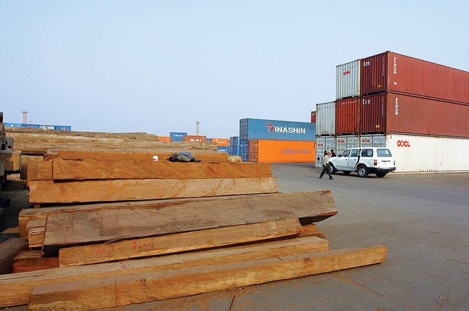 Giá gỗ nhập khẩu tiếp tục tăng, các doanh nghiệp cần liên kết mua chung để giảm giá. Ảnh: Đức Thanh