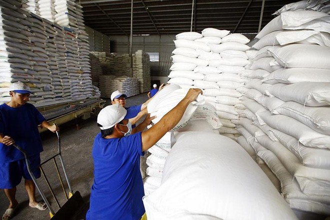 Nhiều điều kiện kinh doanh gây cản trở xuất khẩu gạo đã bị bãi bỏ, nay lại được đề xuất trở lại. Ảnh: Đức Thanh