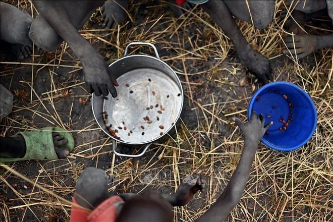 Trẻ em nhặt hạt ngũ cốc rơi vãi trên cánh đồng tại Ayod, Nam Sudan. Ảnh tư liệu: AFP/TTXVN 