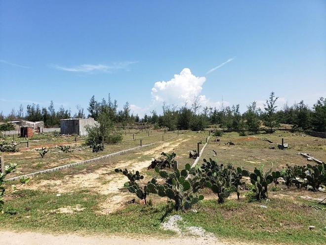 Một khu đất phân lô, bán nền ở tỉnh Quảng Ngãi. Ảnh: P.V
