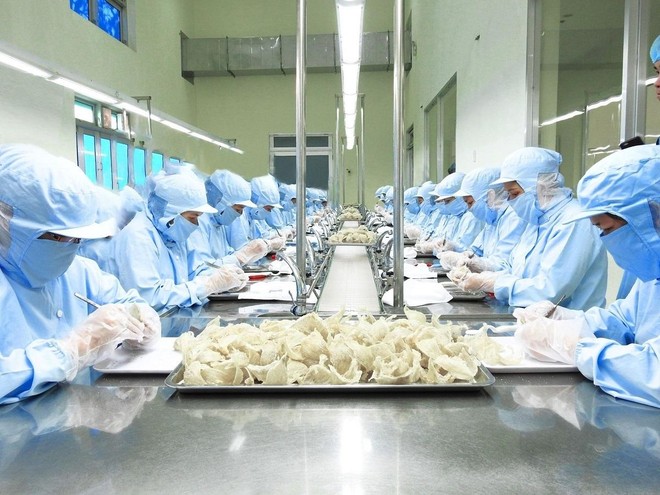 Bộ NN-PTNT chính thức khởi động xúc tiến xuất khẩu tổ yến vào thị trường Trung Quốc