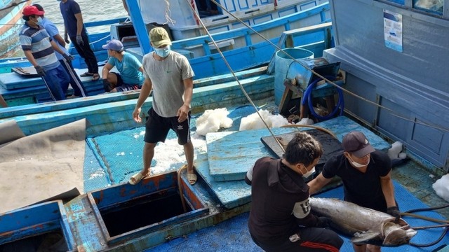 Quỹ hỗ trợ phát triển nghề cá Khánh Hòa hoạt động theo mô hình đơn vị sự nghiệp công lập trực thuộc Ủy ban nhân dân tỉnh Khánh Hòa