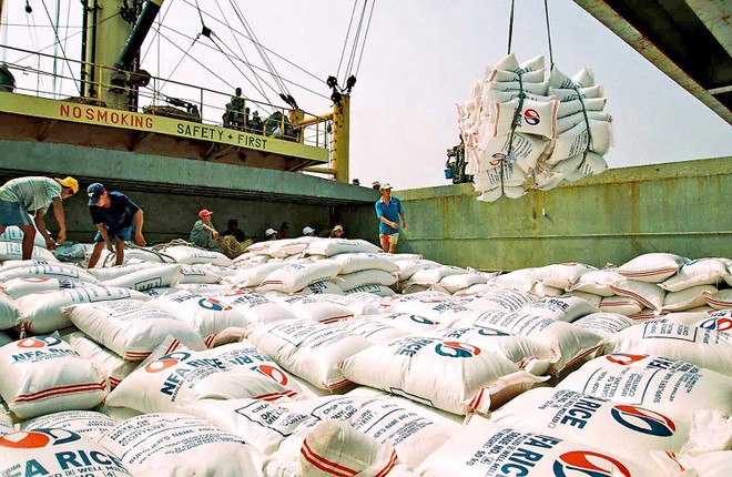 Gạo Việt được mùa xuất khẩu 