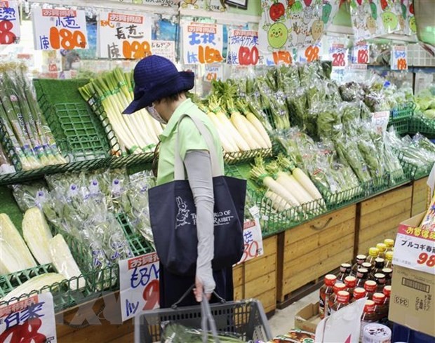 Người dân mua thực phẩm trong siêu thị ở Tokyo, Nhật Bản. (Ảnh: Kyodo/TTXVN)