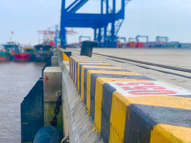 Cho phép cảng VIMC Đình Vũ tiếp tục khai thác hàng container đến hết tháng 6/2024 