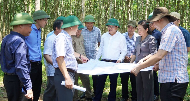 UBND tỉnh Quảng Trị kiểm tra tiến độ dự án cao tốc Bắc Nam đoạn Vạn Ninh - Cam Lộ.