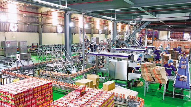 Dây chuyền sản xuất tại CTCP Sữa Quốc tế. Ảnh: S.T 