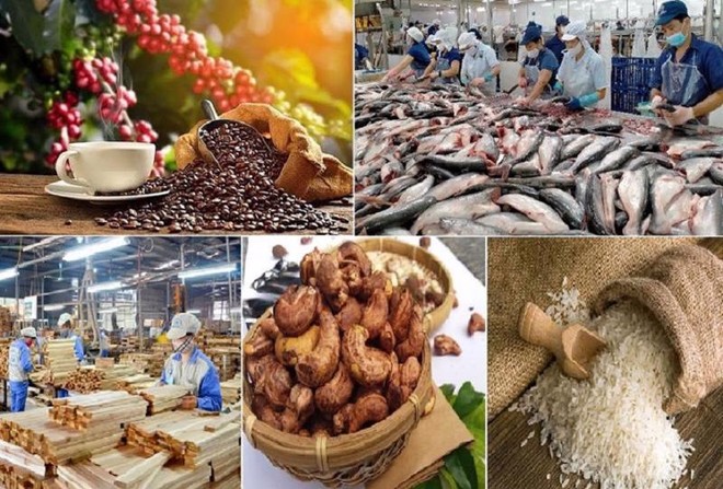 Những mặt hàng nông sản chủ lực của Việt Nam trong nửa cuối 2023.