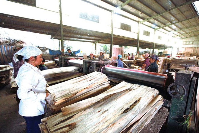Doanh nghiệp xuất khẩu sản phẩm gỗ đang gặp nhiều khó khăn trong hoàn thuế VAT Ảnh: Đức Thanh