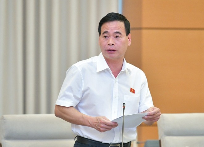 Phó chủ nhiệm Ủy ban Tư pháp Nguyễn Mạnh Cường.