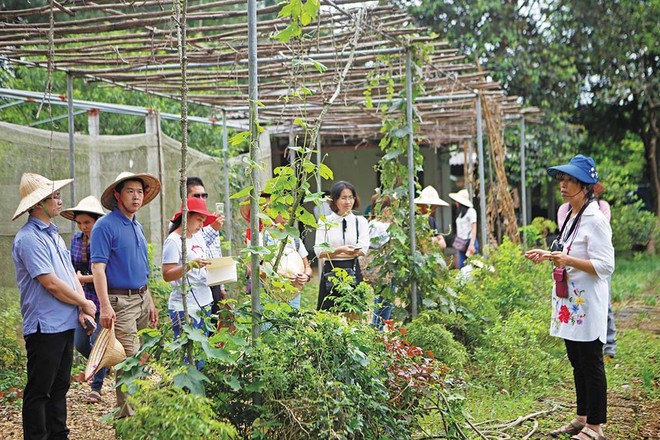 Du khách tham quan trang trại Đồng quê tại huyện Ba Vì (Hà Nội). Ảnh: Hạnh Phúc