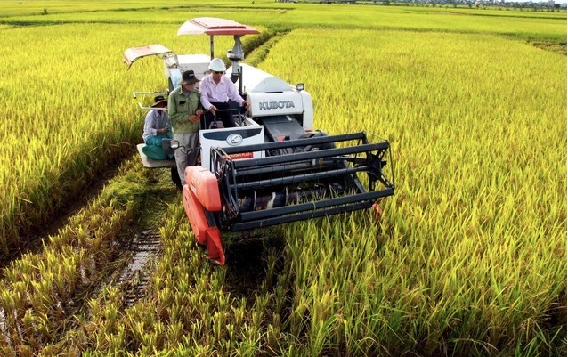 WB cho Việt Nam vay 350-400 triệu USD thực hiện đề án 1 triệu ha lúa phát thải thấp