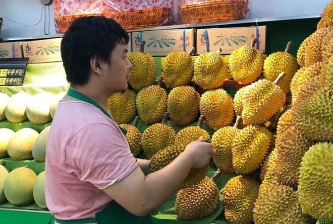Nhiều nhà nhập khẩu Trung Quốc lựa chọn sầu riêng Việt Nam