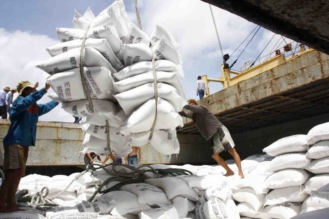 Nhiều doanh nghiệp Việt trúng thầu xuất khẩu gạo sang Indonesia.
