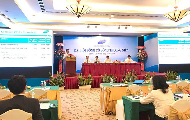 ĐHCĐ Gemadept: Cảng Nam Đình Vũ có lãi trong năm 2019, Gemalink Cái Mép sẽ vận hành trong quý III/2020