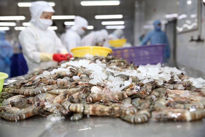 Nhật Bản giữ vị trí số 1 trong xuất khẩu thủy sản Việt Nam