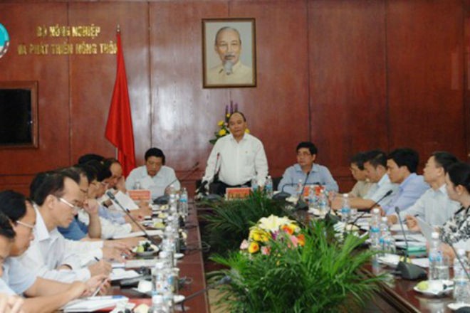 Phó Thủ tướng Nguyễn Xuân Phúc tại buổi làm việc với Bộ Nông nghiệp và Phát triển nông thôn. Nguồn: chinhphu.vn