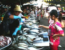 Giá nhiều loại thực phẩm được điều chỉnh tăng vùn vụt tại Hà Nội và một số tỉnh lân cận mấy ngày gần đây

