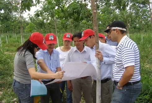 Chủ tịch Hoàng Anh Gia Lai dẫn nhà đầu tư tham quan khu trồng cao su tại Lào. Ảnh: HAGL.