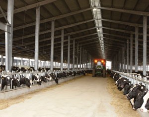 TH khánh thành nhà máy sữa tươi lớn nhất Đông Nam Á