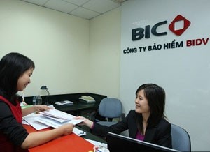 BIC tăng 10 bậc trên bảng xếp hạng FAST  500 năm 2012