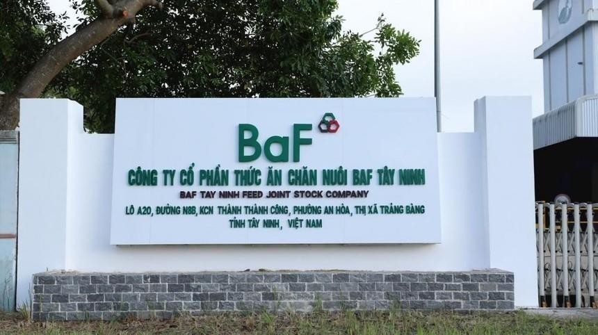 Nông nghiệp BaF Việt Nam (mã BAF) tạm dừng kế hoạch phát hành 600 tỷ đồng trái phiếu