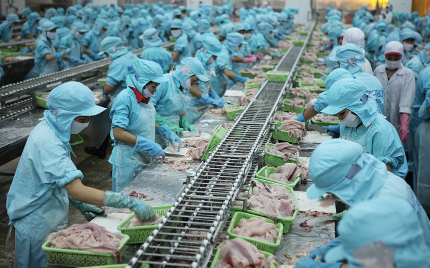 Hầu hết các doanh nghiệp thủy sản Việt Nam đều đang có kế hoạch đẩy mạnh xuất khẩu sang Trung Quốc