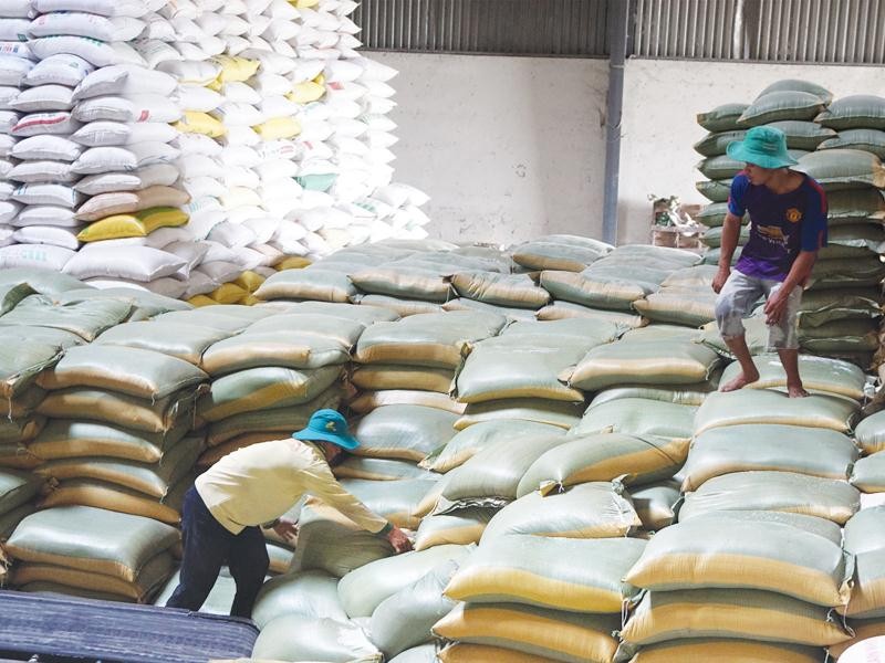 Khoảng 200.000 tấn gạo và 800.000 tấn thóc sẽ được thu mua dự trữ theo kế hoạch Nhà nước giao. Ảnh: Đức Thanh