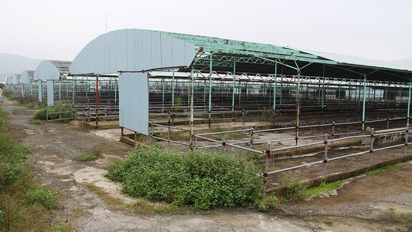 Hoang tàn dự án nuôi bò của Công ty Bình Hà tại Hà Tĩnh - Ảnh: VĂN ĐỊNH