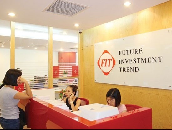 F.I.T hiện đầu tư vào nhiều ngành nghề khác nhau như dược phẩm, tài chính, tiêu dùng, nông nghiệp...