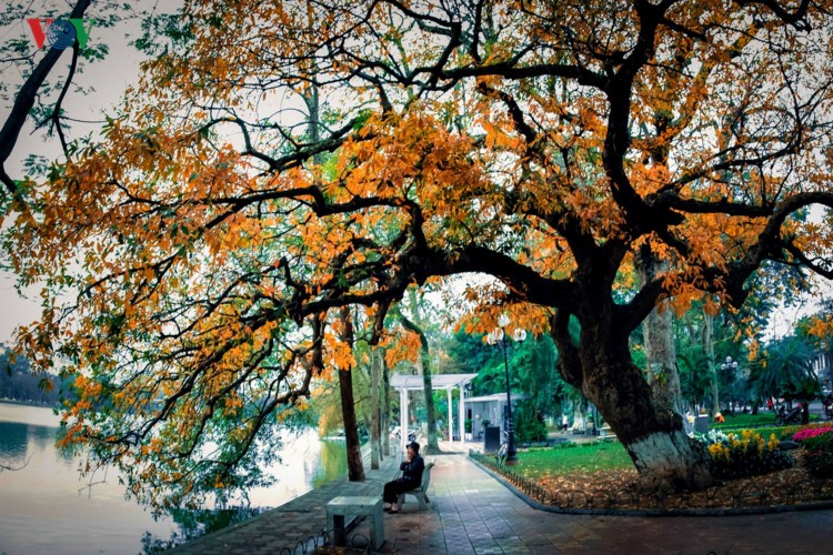 Hồ Gươm quyến rũ trong hương sắc mùa thu