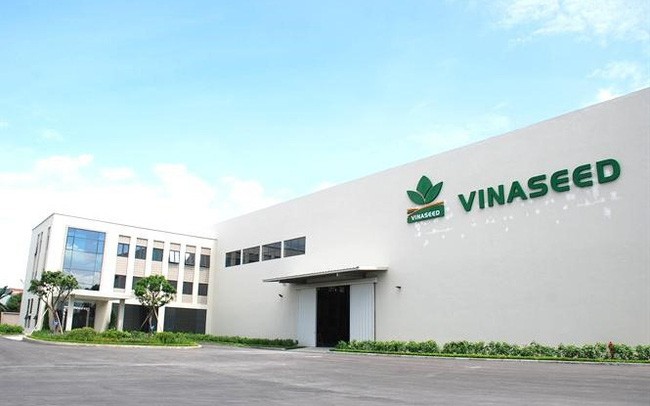 Vinaseed (NSC): Lợi nhuận năm 2022 đạt 226 tỷ đồng, đi ngang so với 2021