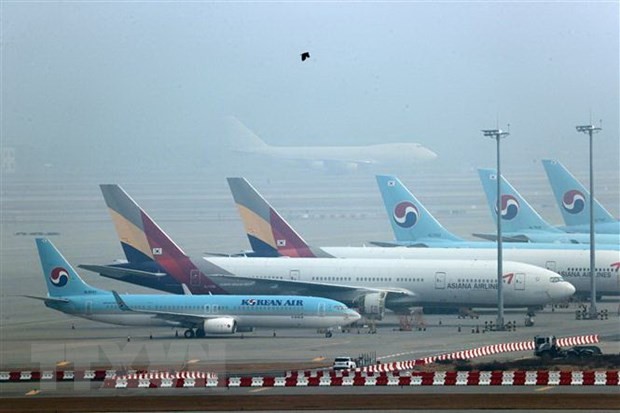 Máy bay của hãng hàng không Korean Air và Asiana Airlines tại sân bay quốc tế Incheon, Hàn Quốc. (Ảnh: Yonhap/TTXVN).
