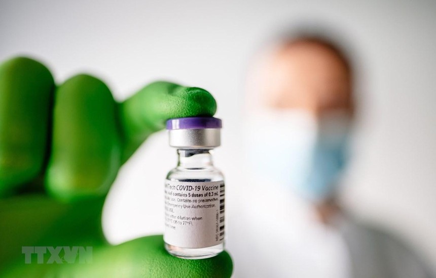 Vắcxin phòng COVID-19 do công ty Pfizer (Mỹ) và BioNTech (Đức) bào chế. (Ảnh: THX/TTXVN).
