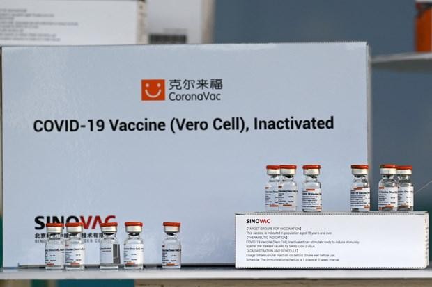 Các lọ vaccine ngừa COVID-19 của Sinovac Biotech. (Ảnh: AFP/TTXVN).