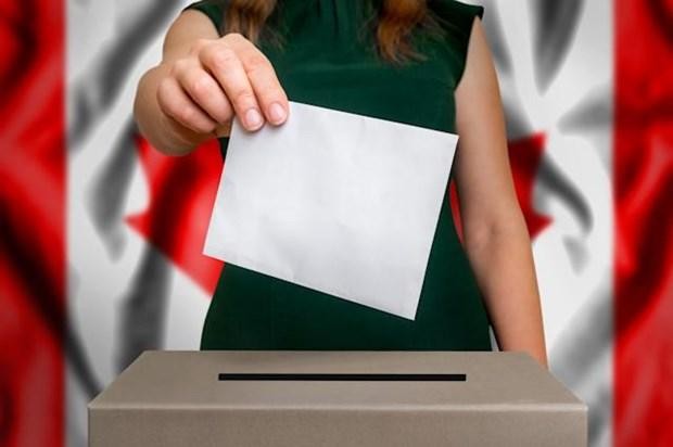 Hàng triệu người Canada sẽ bỏ phiếu qua đường bưu điện. (Ảnh minh họa: AP).