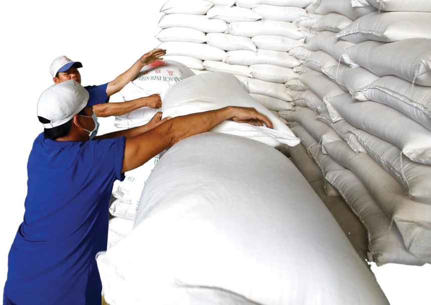Xuất khẩu gạo Việt Nam năm 2021 dự báo đạt 6 triệu tấn, giảm 4% so với năm 2020. Ảnh: Dũng Minh.
