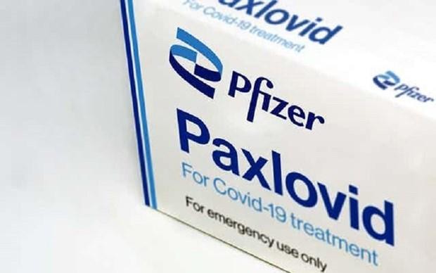 Thuốc Paxlovid do hãng dược phẩm Pfizer phát triển. (Ảnh: Shutterstock).