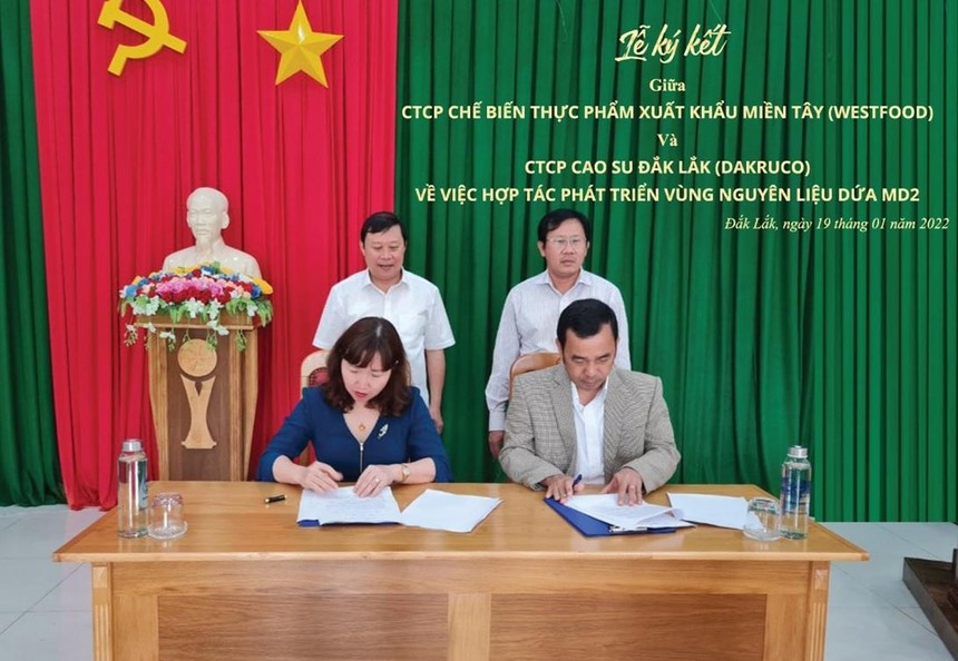 Bà Nguyễn Thị Minh Nguyệt – Chủ tịch HĐQT, Tổng giám đốc Westfood và ông Bùi Quang Ninh - Tổng Giám đốc Dakruco ký kết thảo thuận hợp tác.