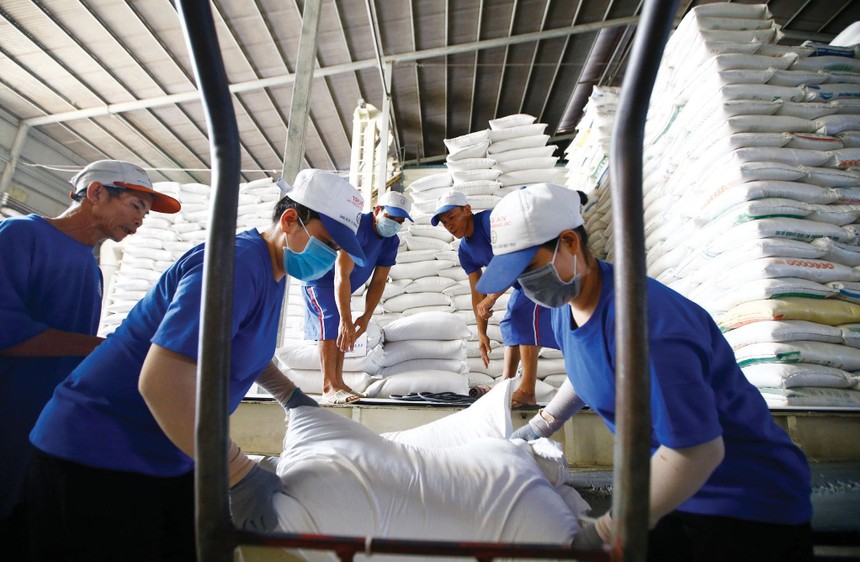 Xuất khẩu gạo của Việt Nam dự báo được hưởng lợi từ nguồn cung trên toàn cầu suy giảm mạnh.
