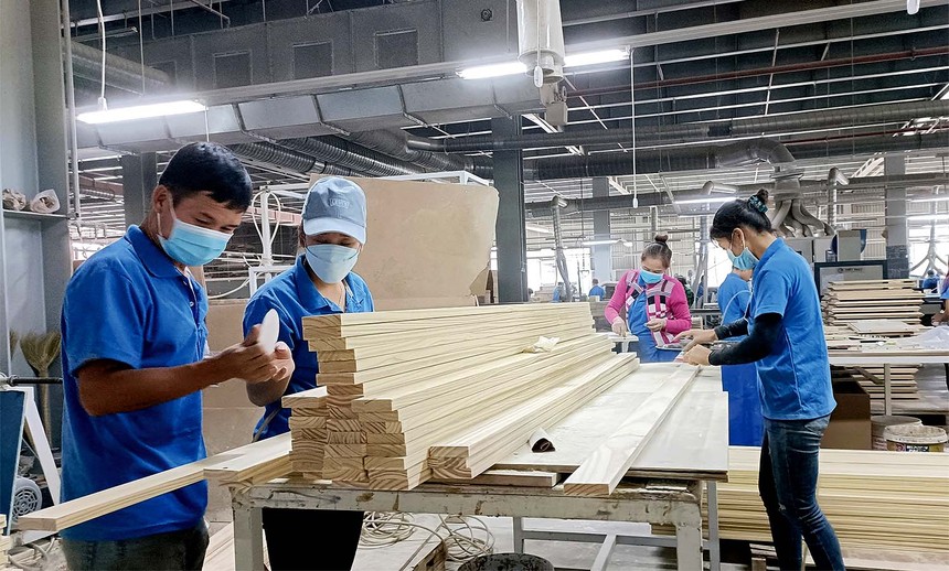 Gỗ và sản phẩm gỗ là mặt hàng xuất khẩu tỷ USD của Việt Nam.