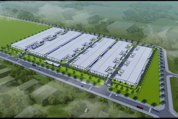 Ninh Thuận “chốt” tiến độ dự án trang trại - nhà máy rượu vang nho 250 tỷ đồng