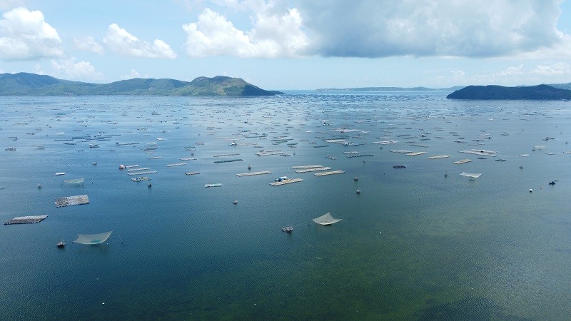 Thị xã Sông Cầu đề xuất Dự án Khu nuôi trồng thủy sản công nghệ cao. Trong ảnh: lồng, bè nuôi trồng thủy sản tại vịnh Xuân Đài.