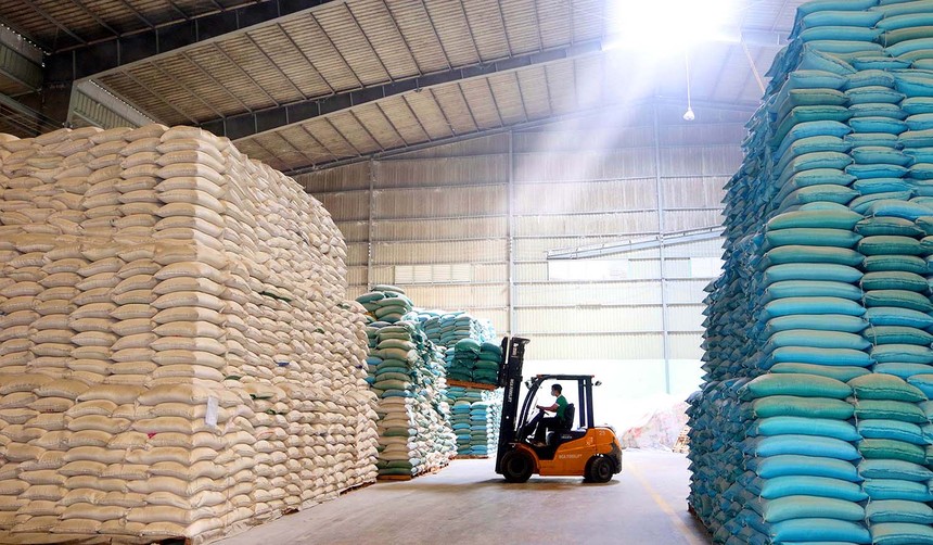 Gạo đang có cơ hội xuất khẩu lớn khi thị trường mở rộng và giá tăng. Ảnh: Dũng Minh.