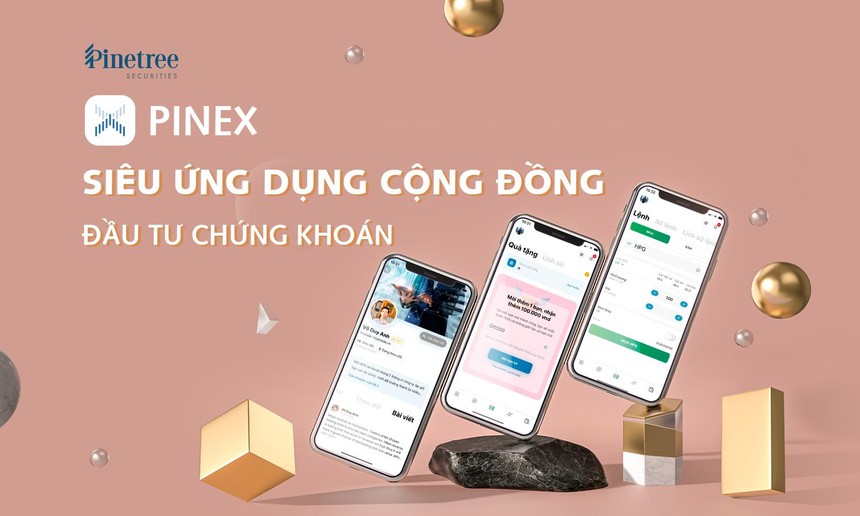 Siêu ứng dụng cộng đồng đầu tư chứng khoán PineX phát triển và ra mắt bởi Chứng khoán Pinetree vào cuối năm 2021.
