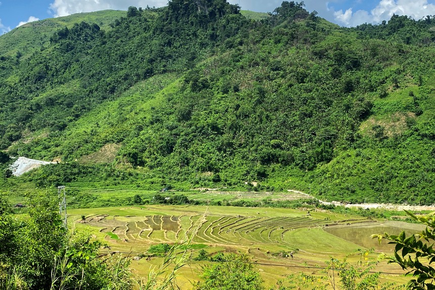 Reuters: Việt Nam có kế hoạch khởi động lại mỏ đất hiếm lớn nhất vào năm tới